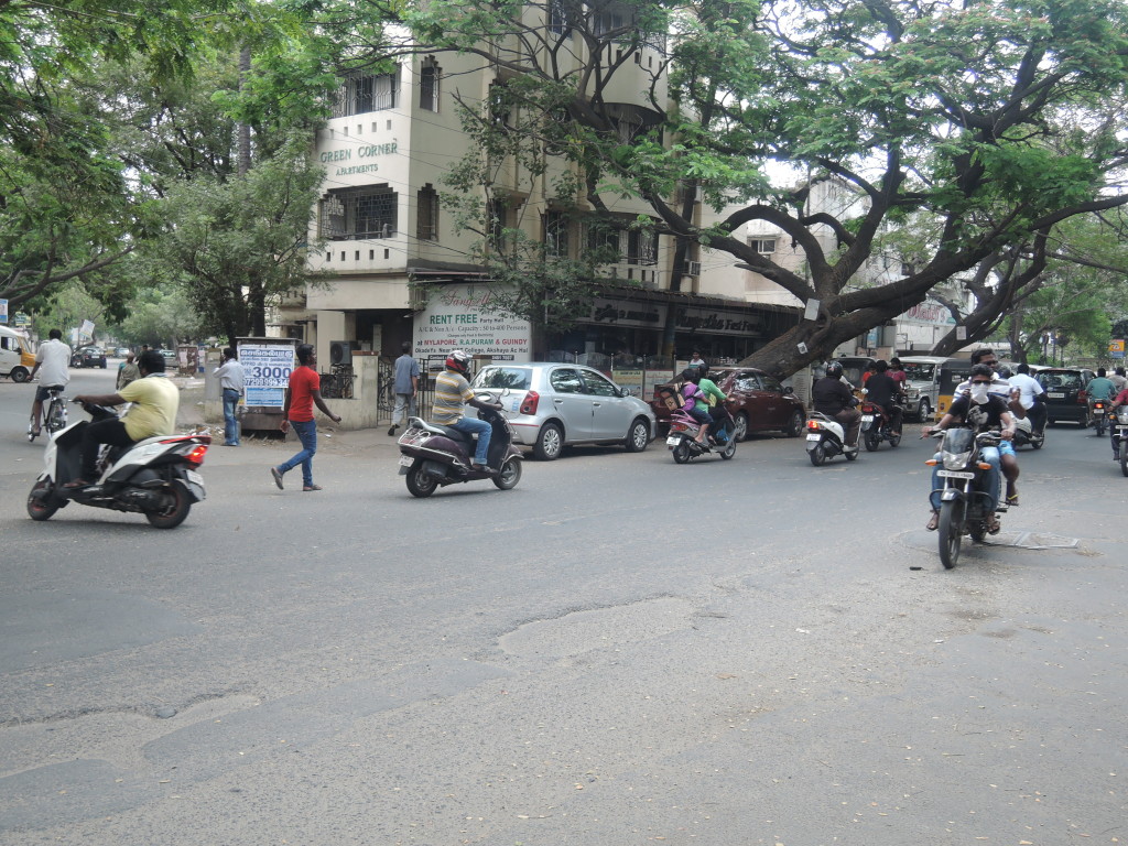 Street Tree