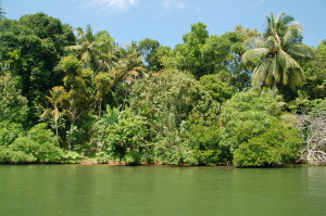 Maduganga River
